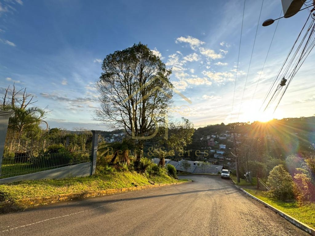 Terreno