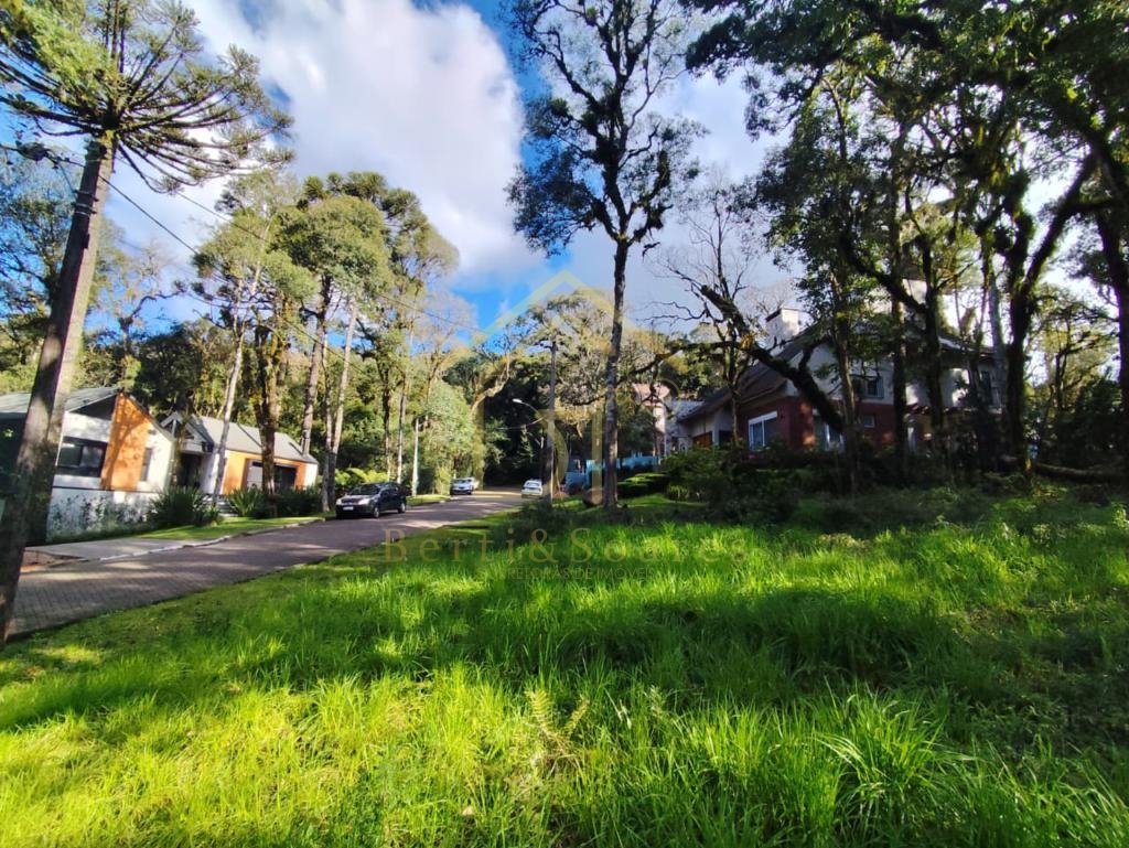 Terreno